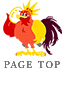 PAGE TOP